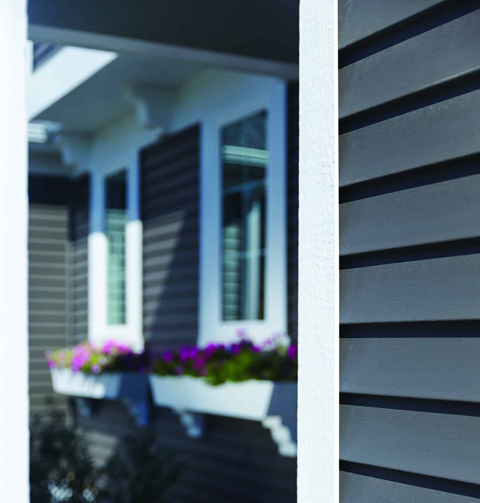 vinyl siding