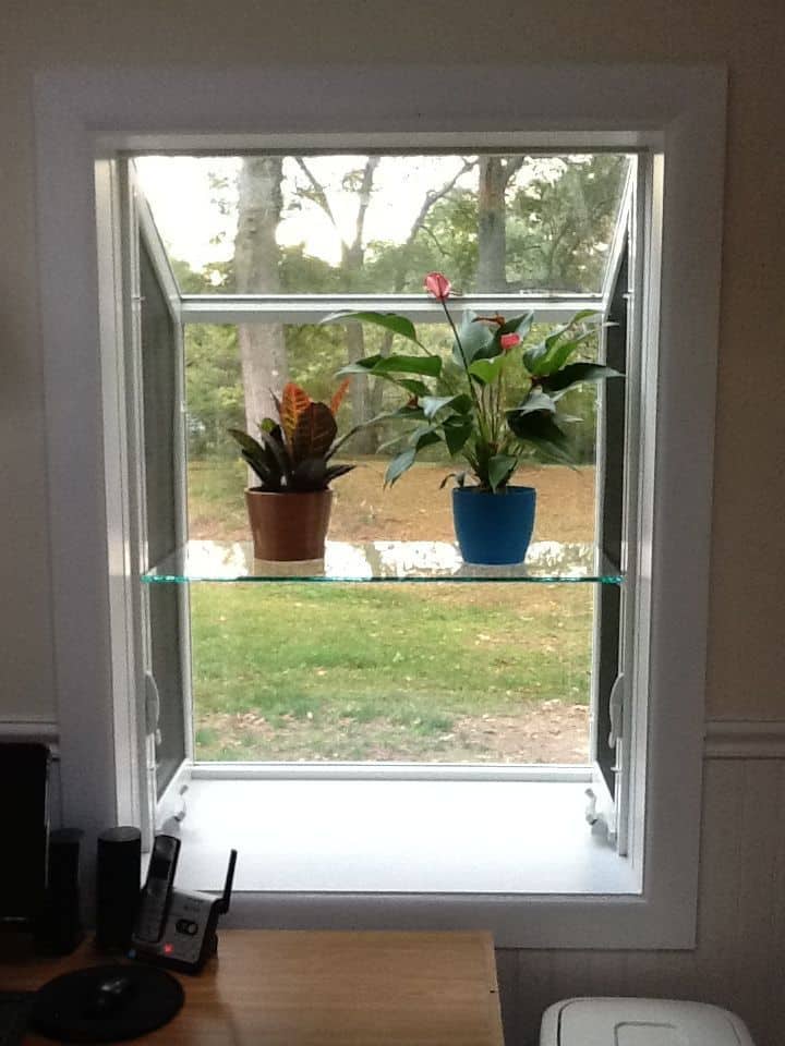 Interior view of plants in garden window