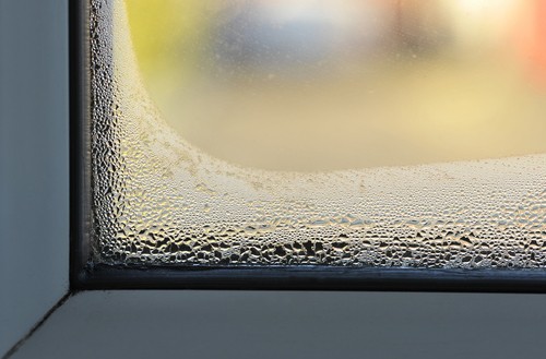 How Often Should You Replace Your Windows?