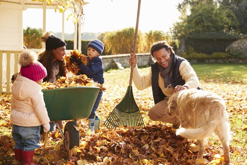 Prep Your Outdoor Space for Fall