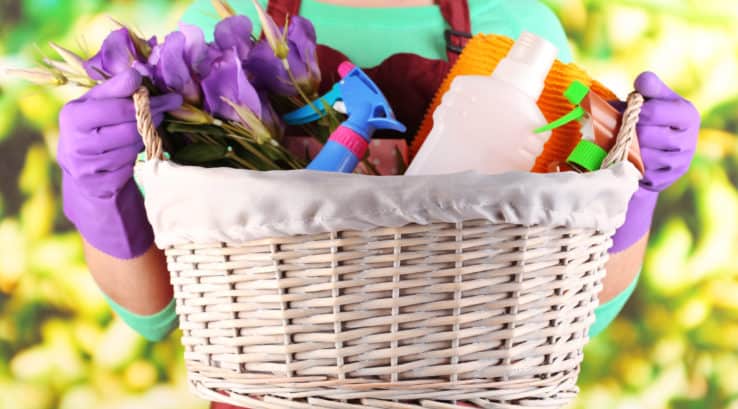 Natural Home Cleaning for Spring