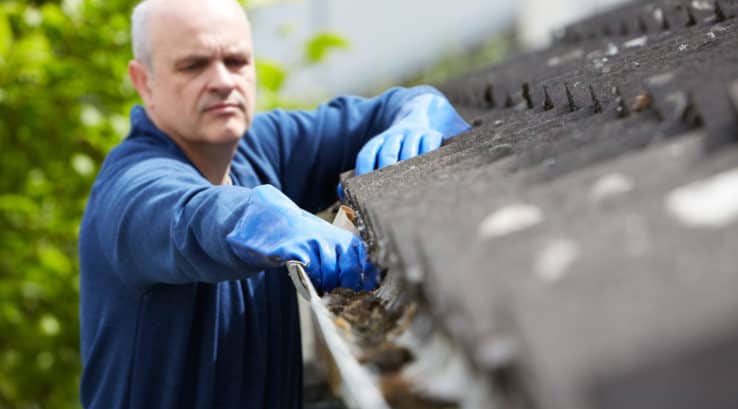Gutter Cleaning Costs