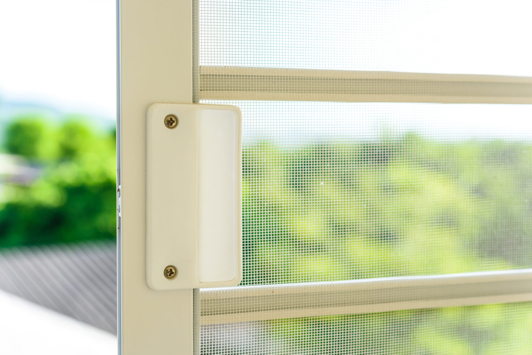 Mosqito,Window,Screen