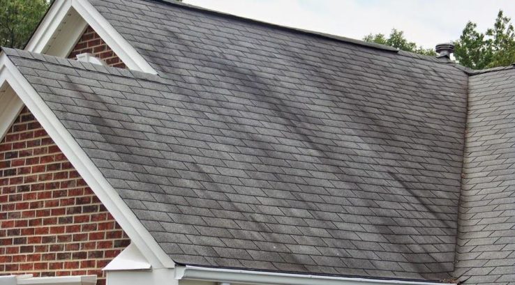 Black Streaks on Roof: What it Means and How to Beat Them