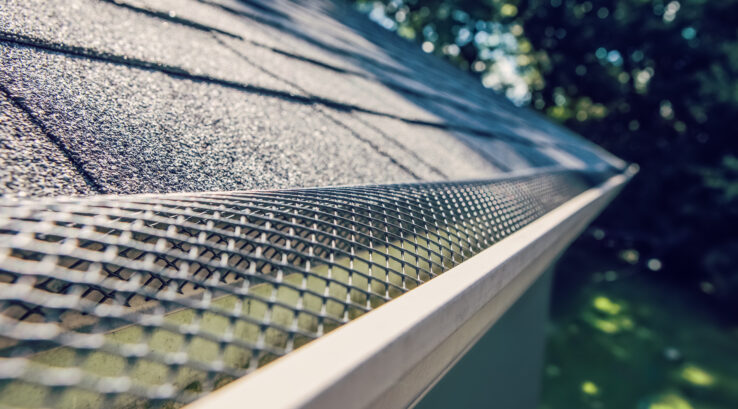 Are Gutter Guards Worth It? 