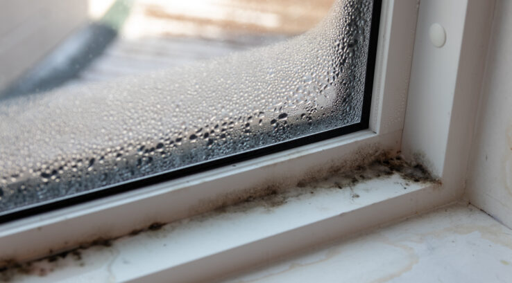 Interior and Exterior Mold Prevention on Windows