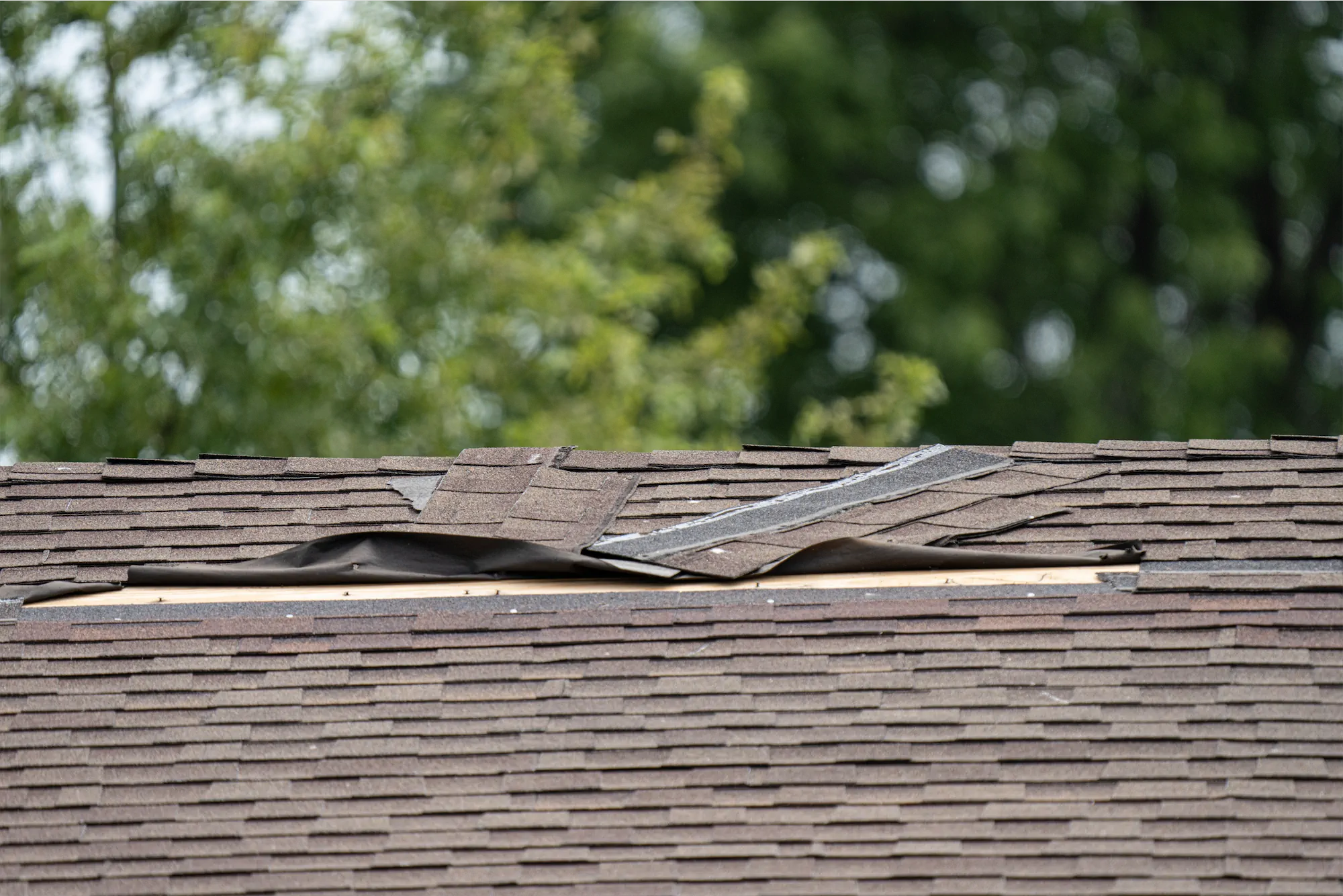 Lifted Roof Shingle Maintenance Tips