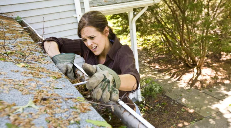 9 Common Gutter Problems You May Encounter As An Ellicott, MD Homeowner